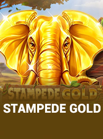 Review Game Stampede Gold